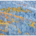 Transition of Seasons