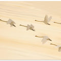 Art Prints of Group Dancing