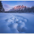Snow Castle