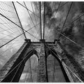Art Prints of Brooklin