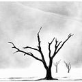 Namibia: The Spirit of Wilderness