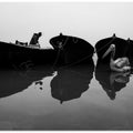 Art Prints of lake diary 1