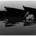 Art Prints of lake diary 2