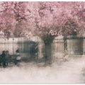 sweet spring