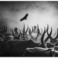 The shadows of Mundari