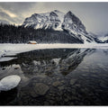 Winter wonderland