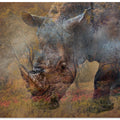 Art Prints of Rino