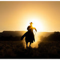 The Cowboy