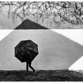 Shadow Geometry