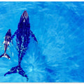 Art Prints of Discover the world