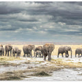 The March for Survival