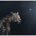 Art Prints of Imagination