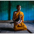 The Young Monk and his pet Hornbill