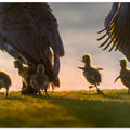 Art Prints of new world