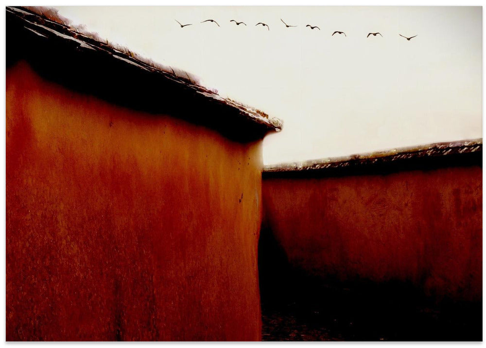 Leaving For Winter