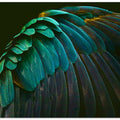Art Prints of There's a bird in there somewhere