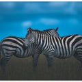 Art Prints of Stripy