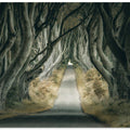 Irish Hedges