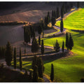 Torrenieri Road