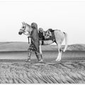 Art Prints of Horse love