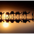 Art Prints of Morocco - the silence of earth