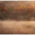 Peak of Fall