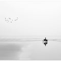 CYCLE AND THE BIRDS