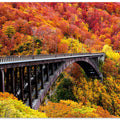 The art arch bridge