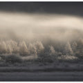 rime