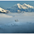 In the embrace of the mists