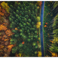 Autumn Road