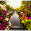 Floral in Amsterdam