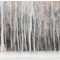 Wintry Vision