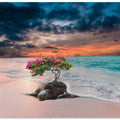 Sea turtle