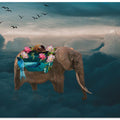 Art Prints of Sea elephant