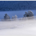 Frozen Lake