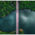 the bridge