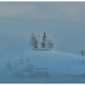 Winter white