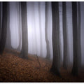 Autumn mood