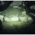 Hidden secret