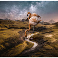 Canvas Art Print Flamingo nr. 2