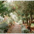 Botanical Ourika
