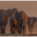 Canvas Art Print running towards the water