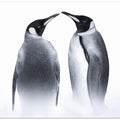Canvas Art Print we are King penguin