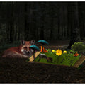 Once in the forest