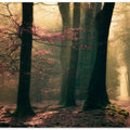 Land of elfs