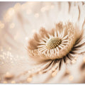 Beige Coral Flower