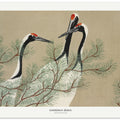 Cranes From Momoyogusa