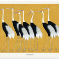 Japanese Red Crown Crane