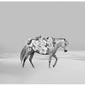 Single horse